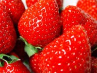 /album/zahradka-v-brne/a1260720573cla-jahoda1-1-jpg/